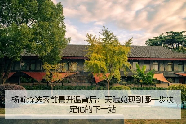 杨瀚森选秀前景升温背后：天赋兑现到哪一步决定他的下一站