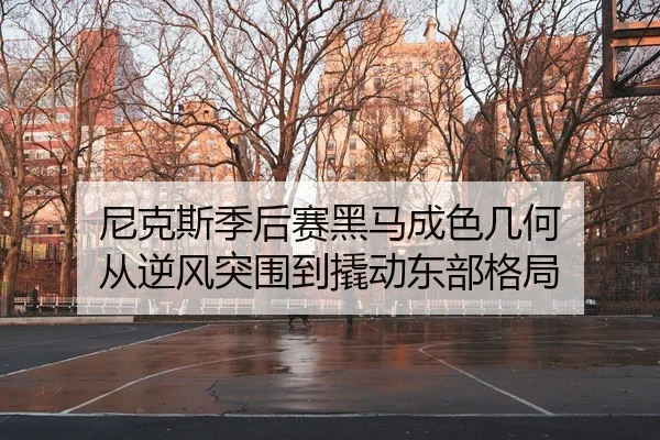 ni-ke-si-ji-hou-sai-hei-ma-cheng-se-ji-he-cong-ni-feng-tu-wei-dao-qiao-dong-dong-bu-ge-ju-2-699.jpg