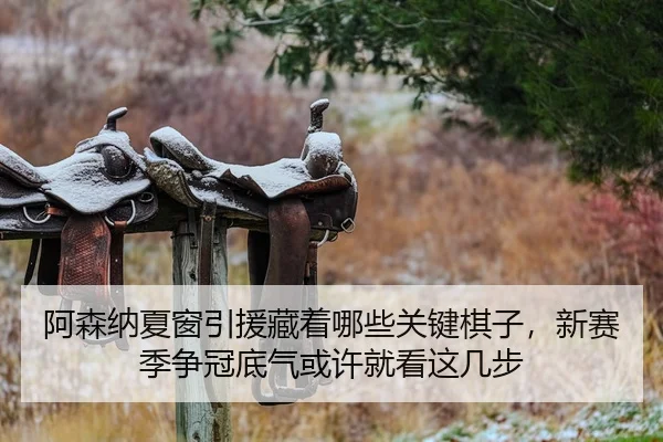 阿森纳夏窗引援藏着哪些关键棋子，新赛季争冠底气或许就看这几步